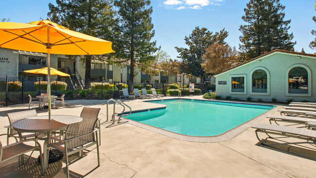 Swimming Pool - Verde