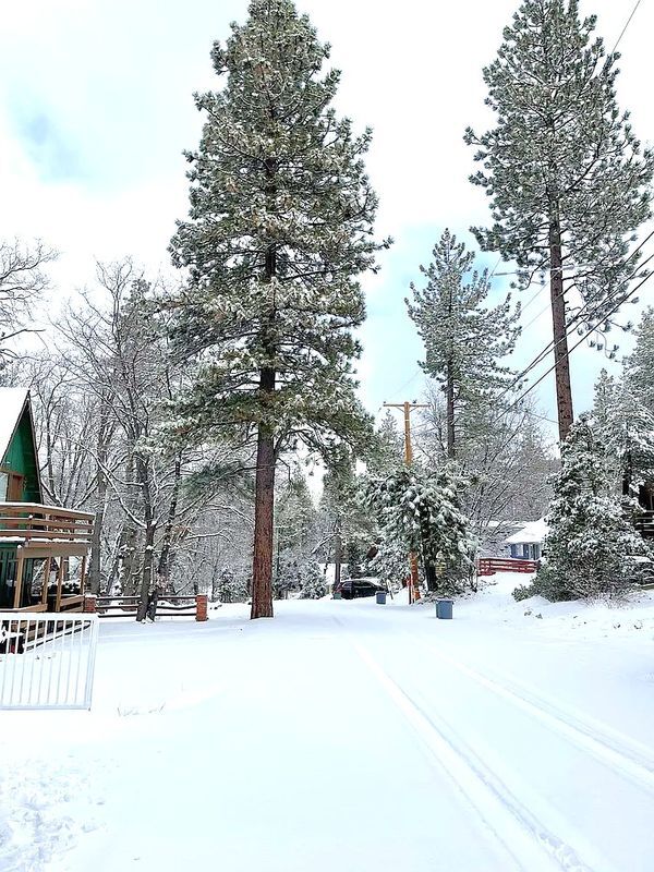 Building Photo - 2418 Fir Dr