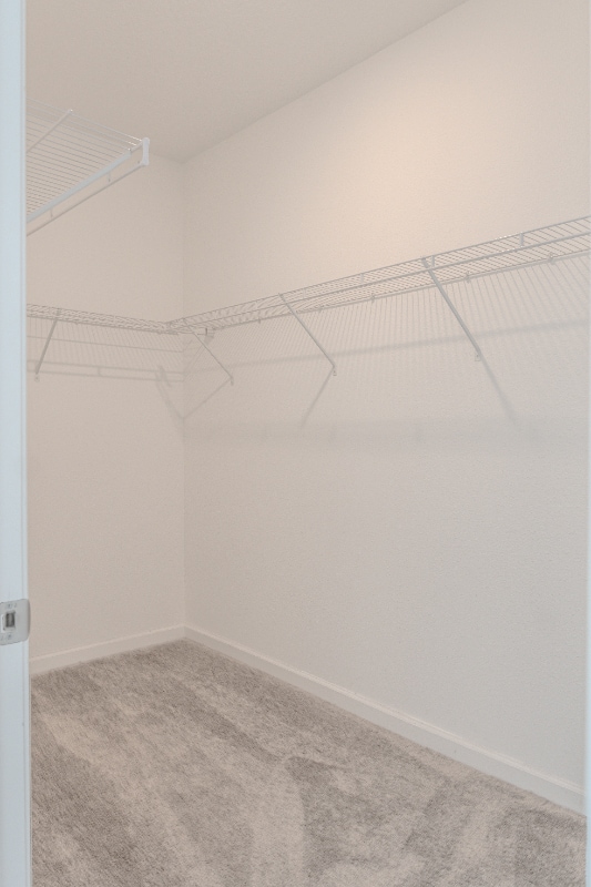 Building Photo - 2509 Relaxing Ln