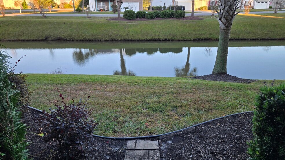 View from Patio - 117 Ella Kinley Cir