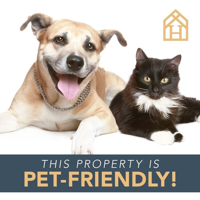 Available Now 4 bedroom 2 bathroom home 1819 Vermilion Rd Duluth MN