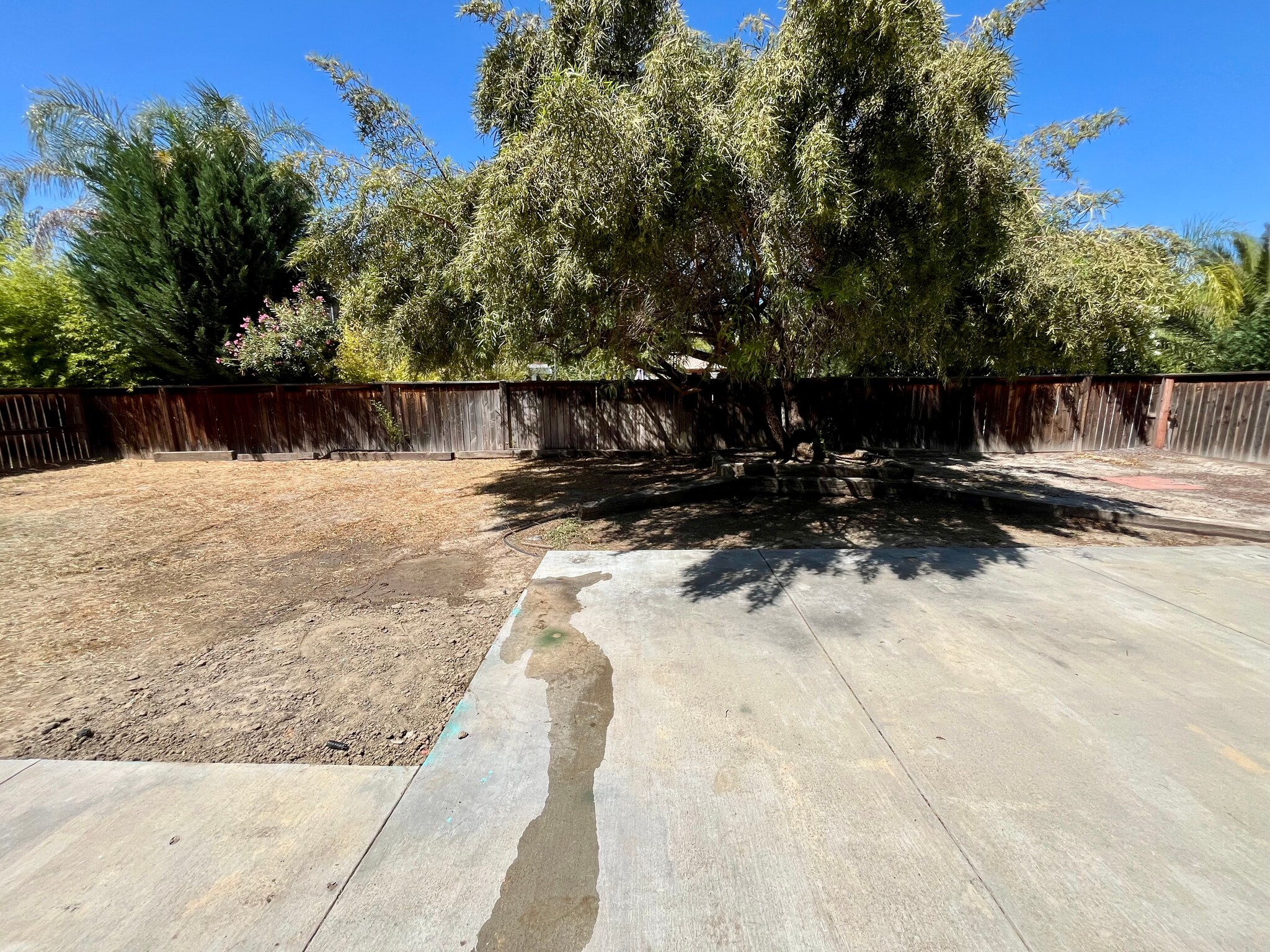 Building Photo - 1559 Park Meadows Dr