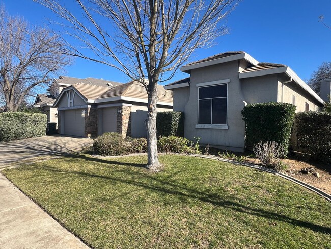 Building Photo - Spacious Single Story Three Bedroom Home