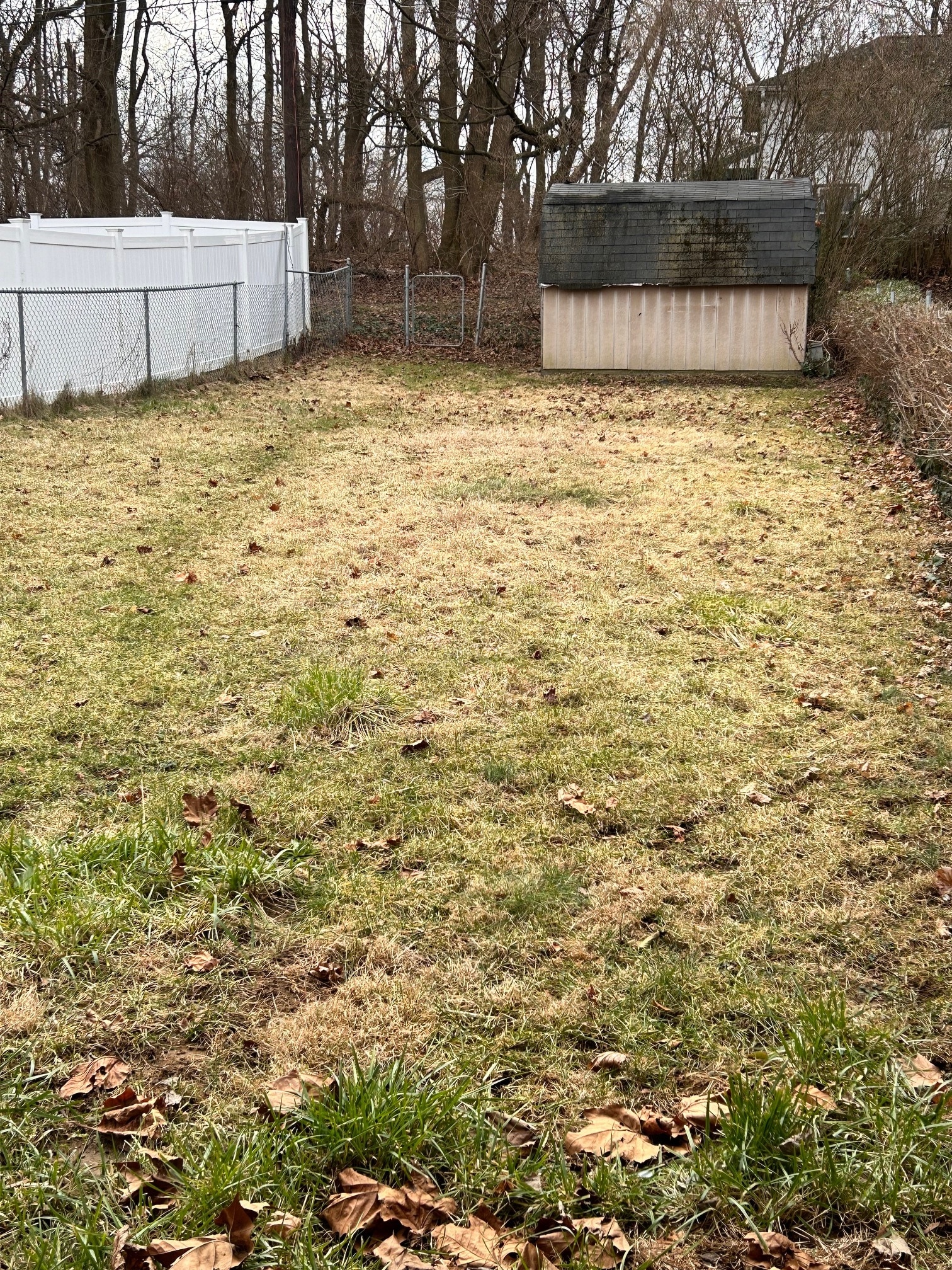 Yard - 2268 Reading Blvd