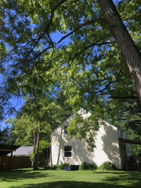 Building Photo - 2632 Birchwood Ave