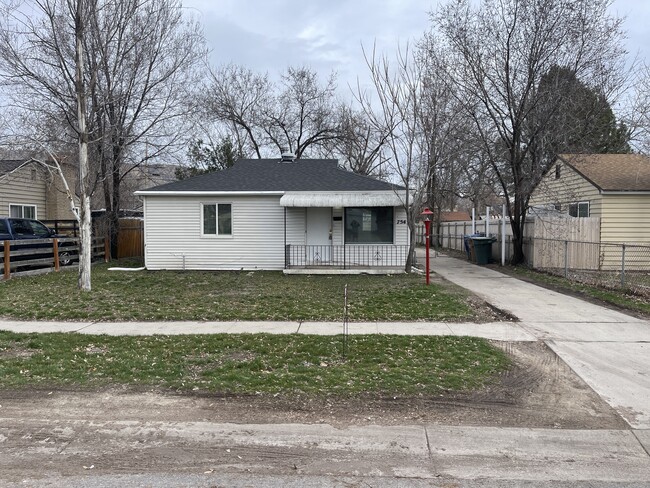 Primary Photo - Colorado St