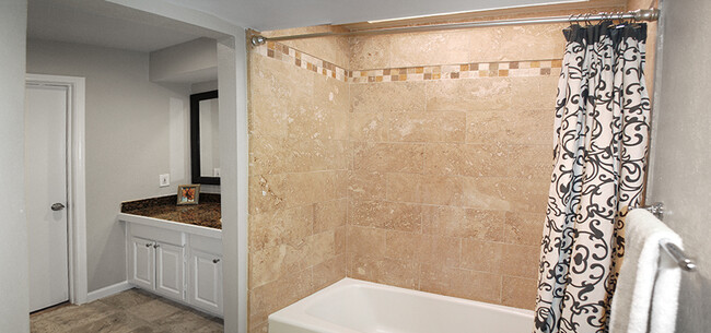 There's a skylight over the tub! - 8710 Park Ln