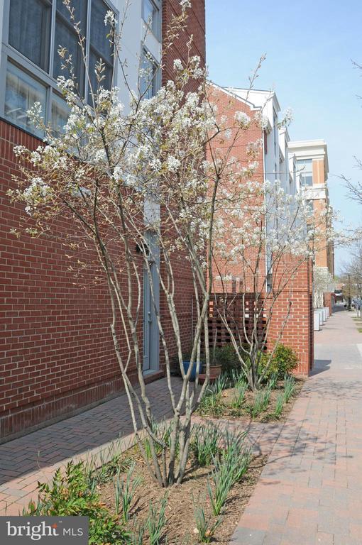 Building Photo - 2010 N Westmoreland St