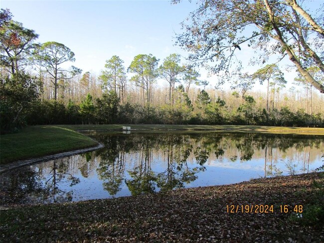 Building Photo - 12229 Luftburrow Ln