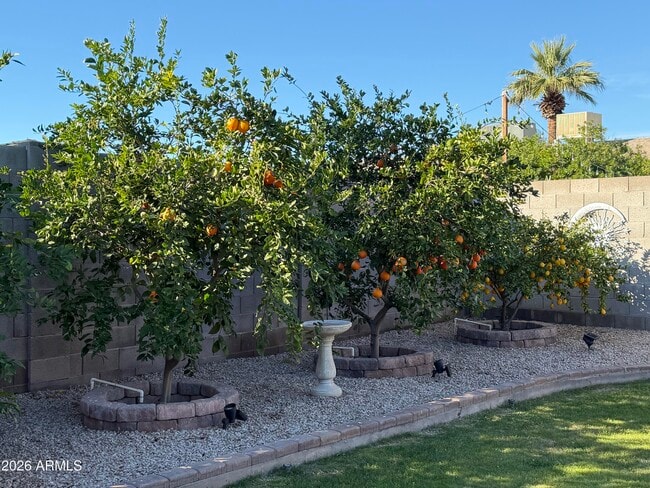 Building Photo - 4140 W Paradise Dr