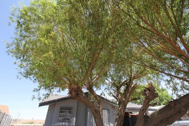 Building Photo - 9604 Gaza Dr