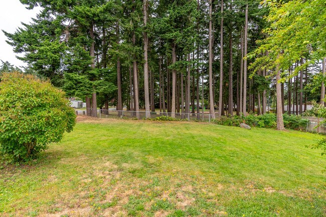 Building Photo - Spacious 4 Bed 2 Bath Home