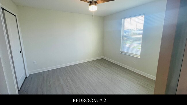 Building Photo - 10613 Bahama Woodstar Ct