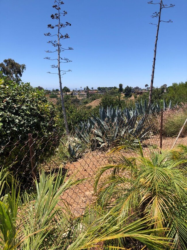 Building Photo - Spacious Single Story 4 bed 2 bath home in Serra Mesa w/2 car garage