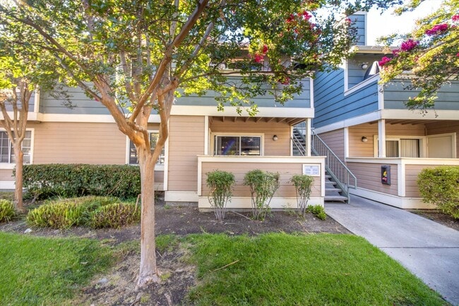Primary Photo - 2702 Somerset Park Cir