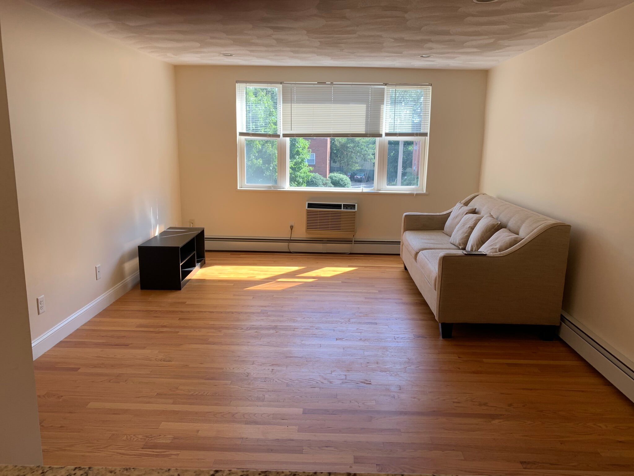 Living Room - 1105 Lexington St