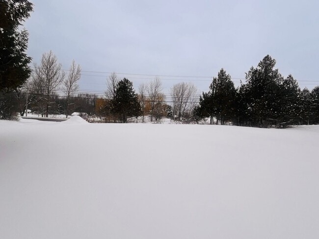 Building Photo - Charming Log Cabin Rental – 3 Bedroom / 2 Bath | Carthage School District