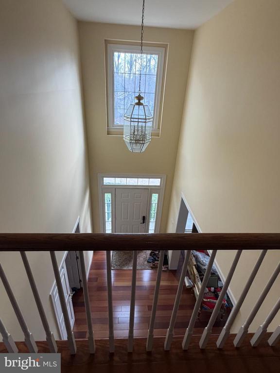 Building Photo - 8312 Wolftrap Rd