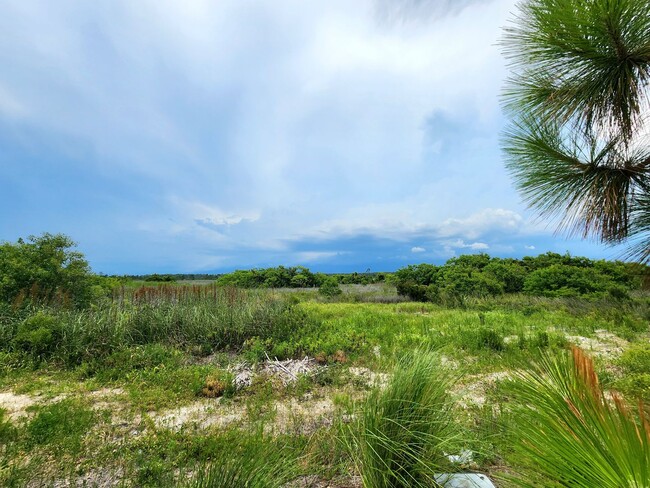 Building Photo - New 2 bedroom/3 bath Beach Cottage in Gulf...