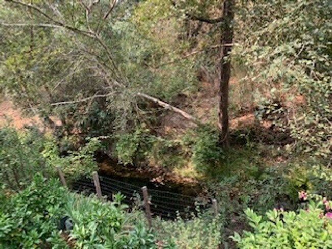 Building Photo - 4 Bedroom 2.5 Bath  with loft ,office, and sauna