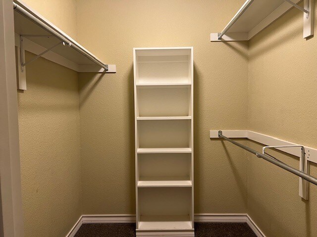 Building Photo - 3706 Trotter Ln
