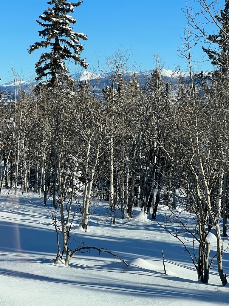 Mountain Views - 71 Mountain Vista