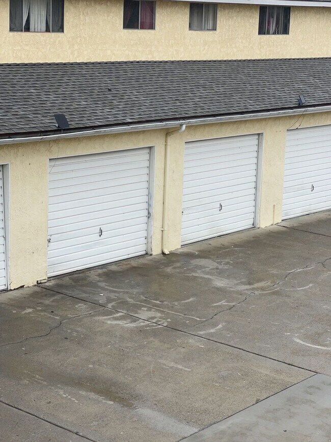 Building Photo - 213-223 Wolff Street