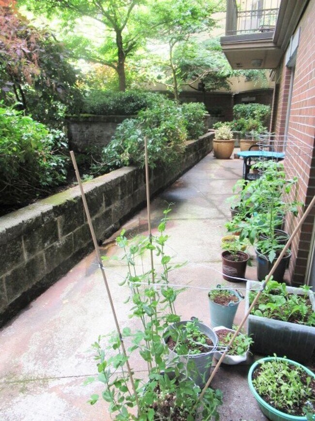 Building Photo - 2Bd/2Ba Seattle Condo