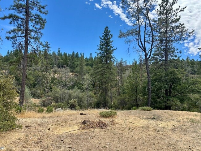Building Photo - 3 Bedroom 2 Bath nestled in Grass Valley