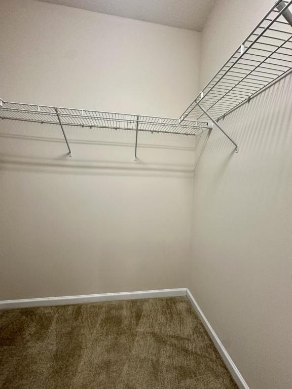 Building Photo - 4531 Hubbard Falls Dr