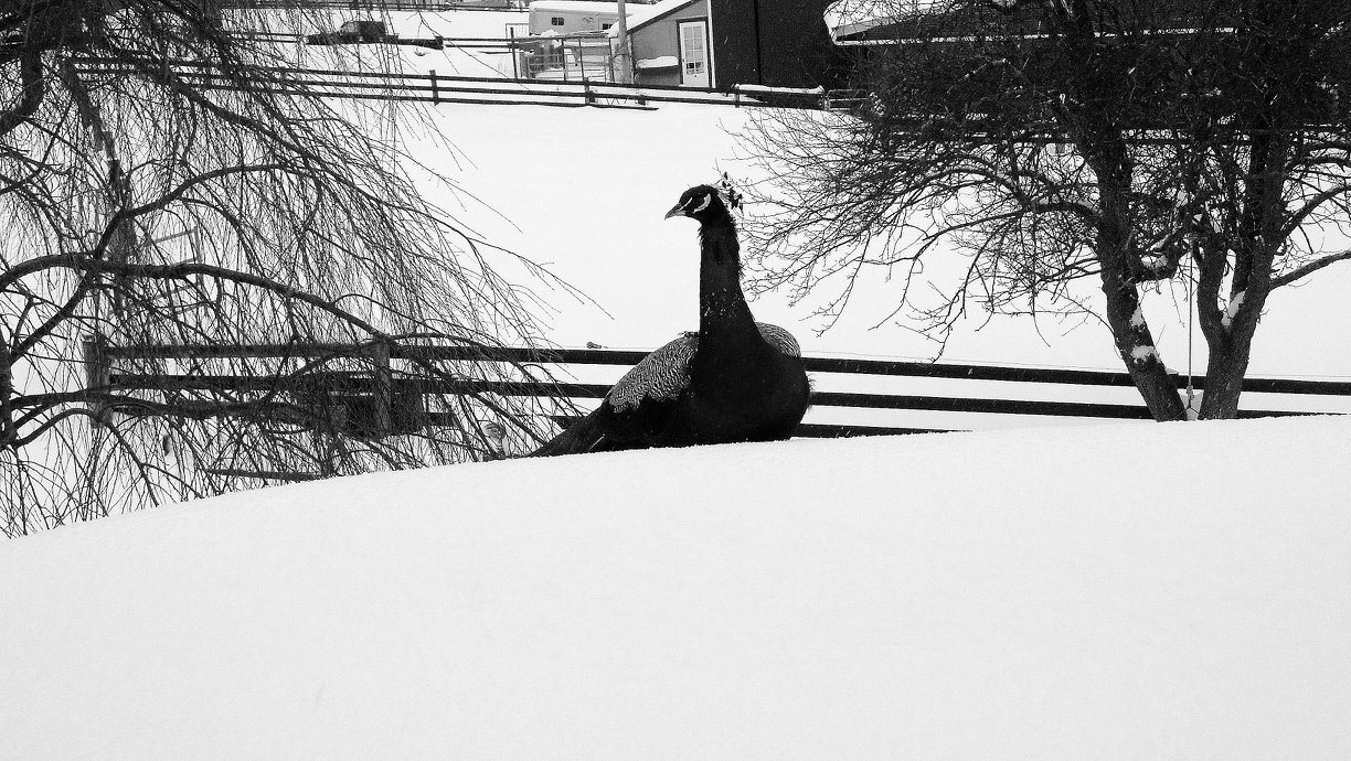 Building Photo - 1310 Hollow Rd