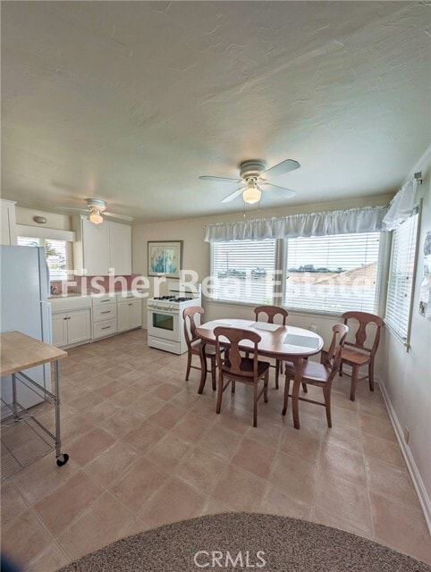 Building Photo - 572 Harloe Ave