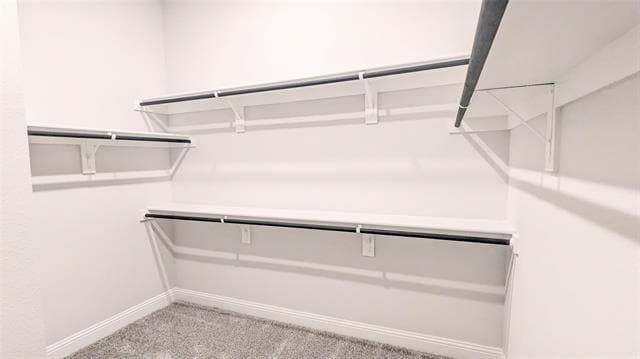 Building Photo - 4124 Wetstone Ln