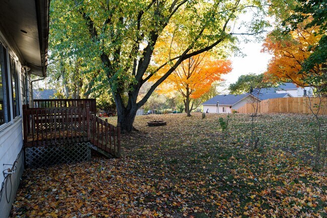 backyard - 246 Lake Heights