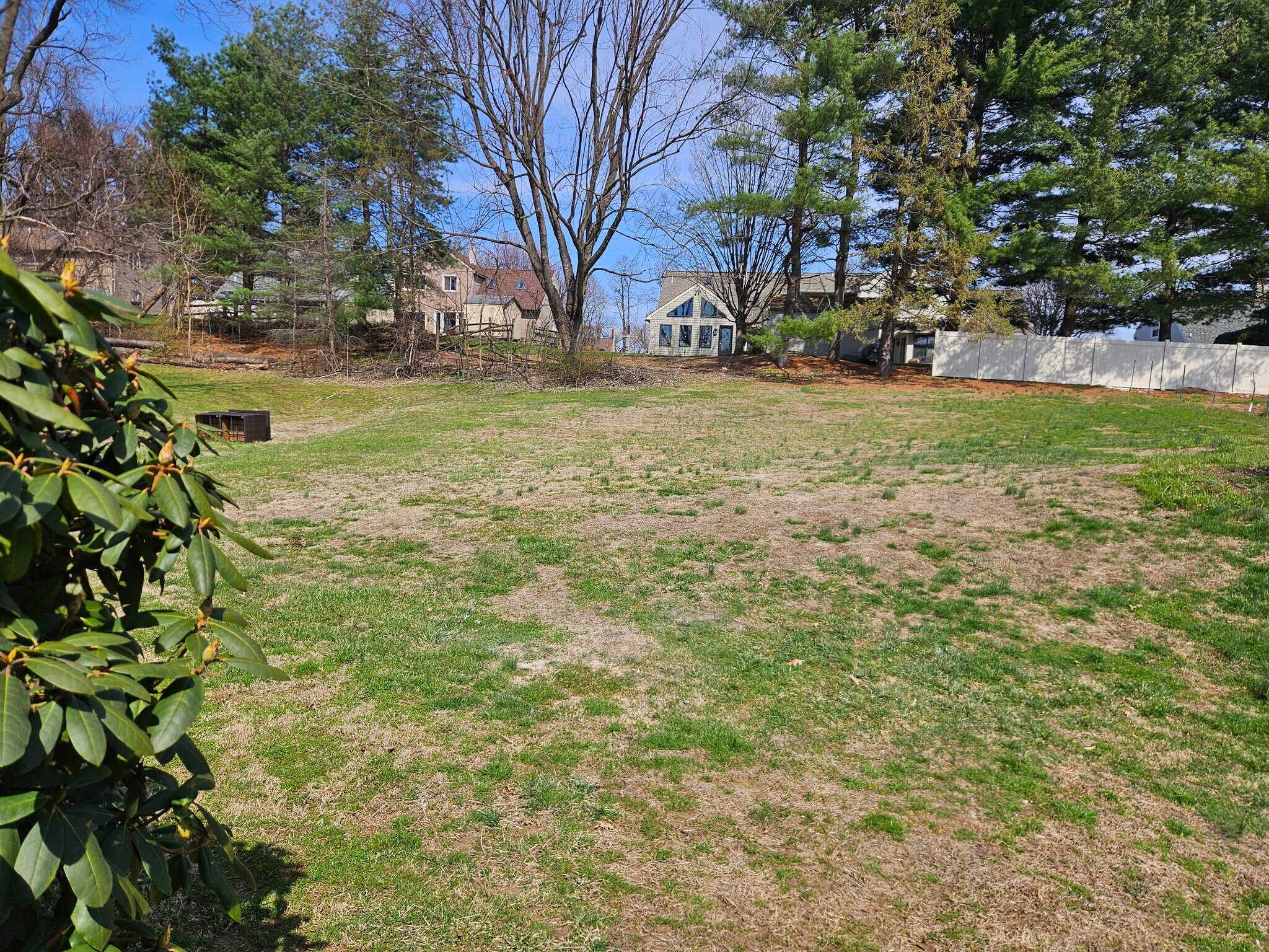 Back yard - 3491 Horizon Dr