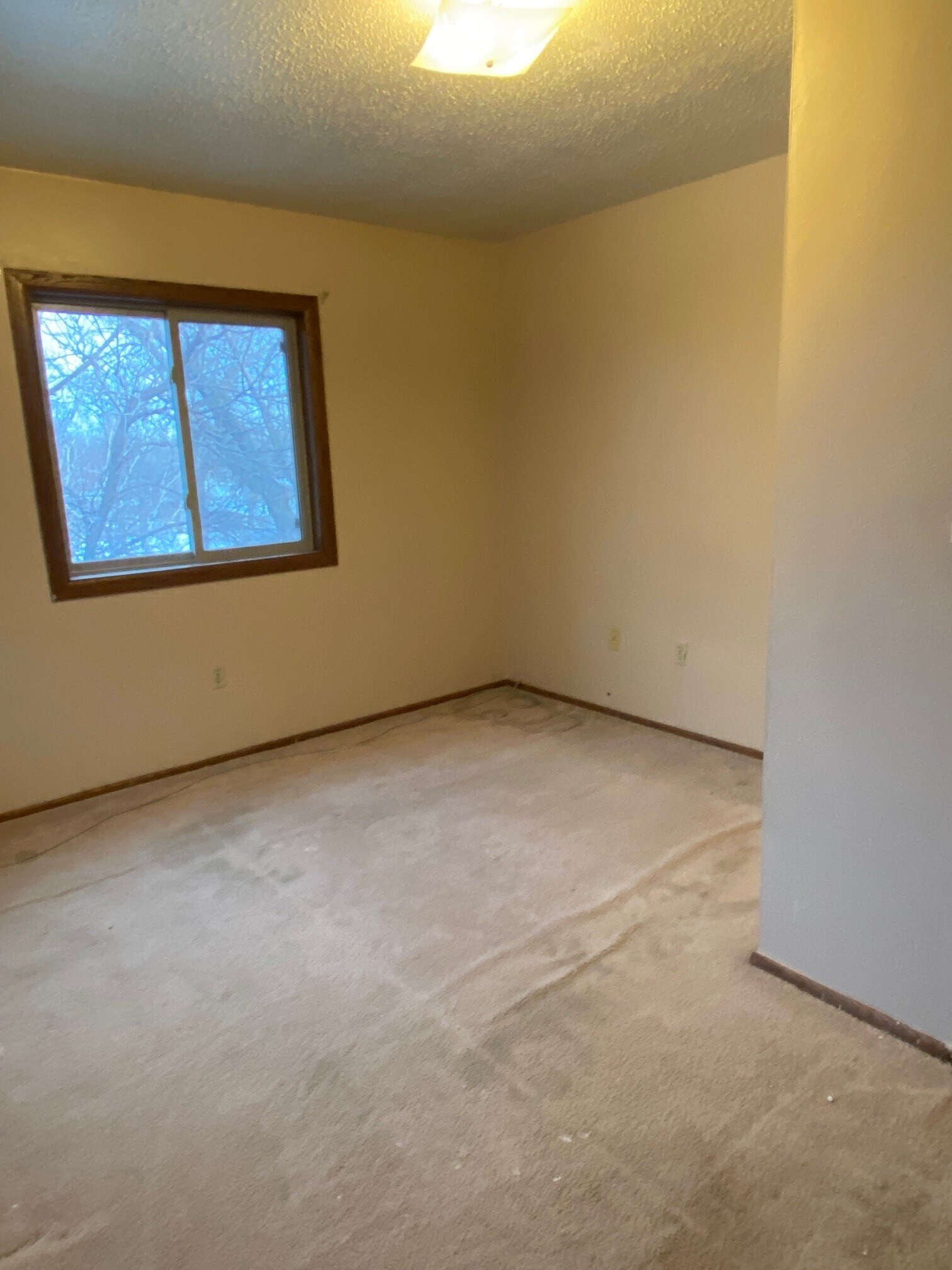 Bedroom #2 - 103 E 12th Ave