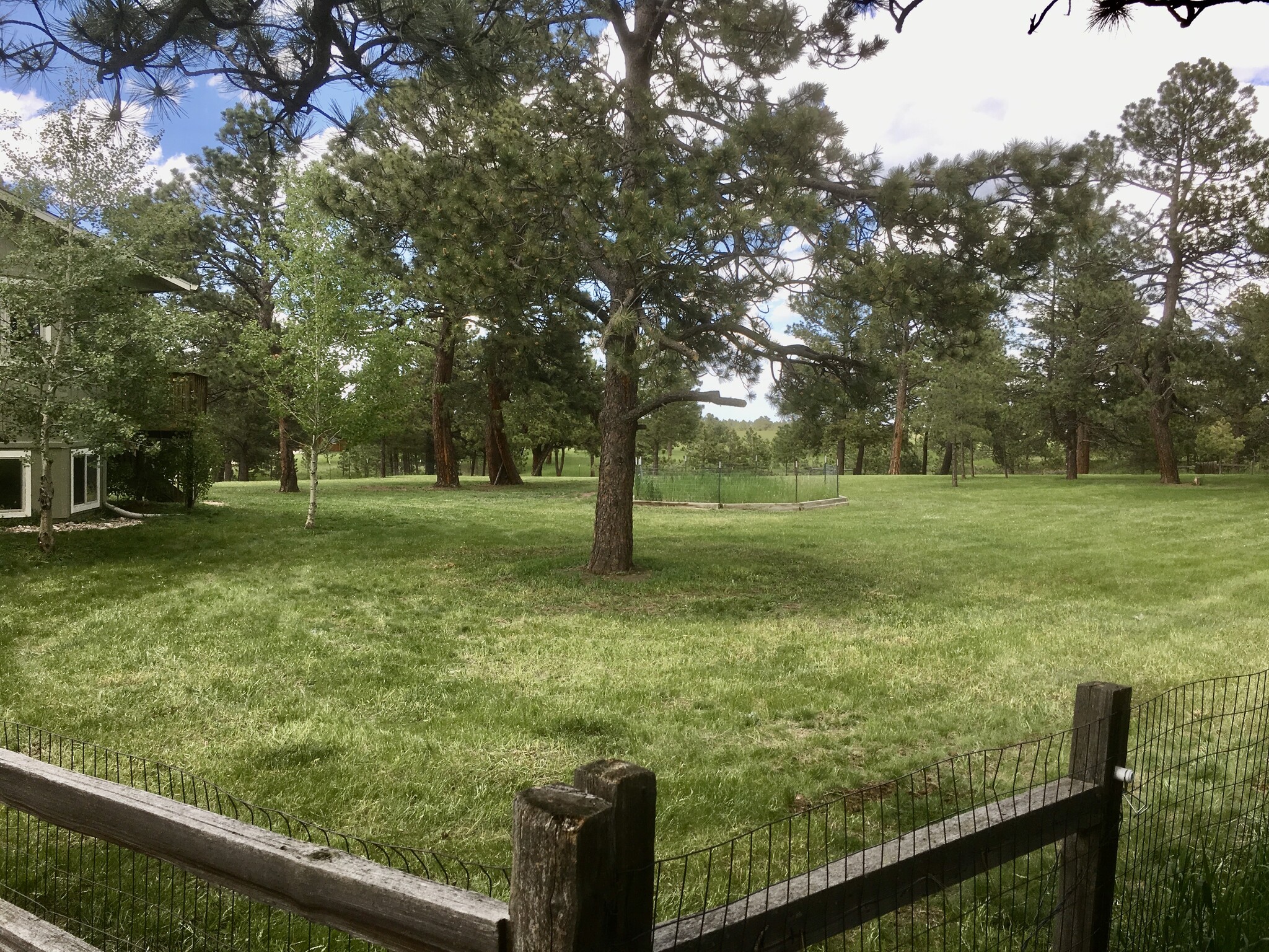 Side/backyard - 15175 E Coachman Dr