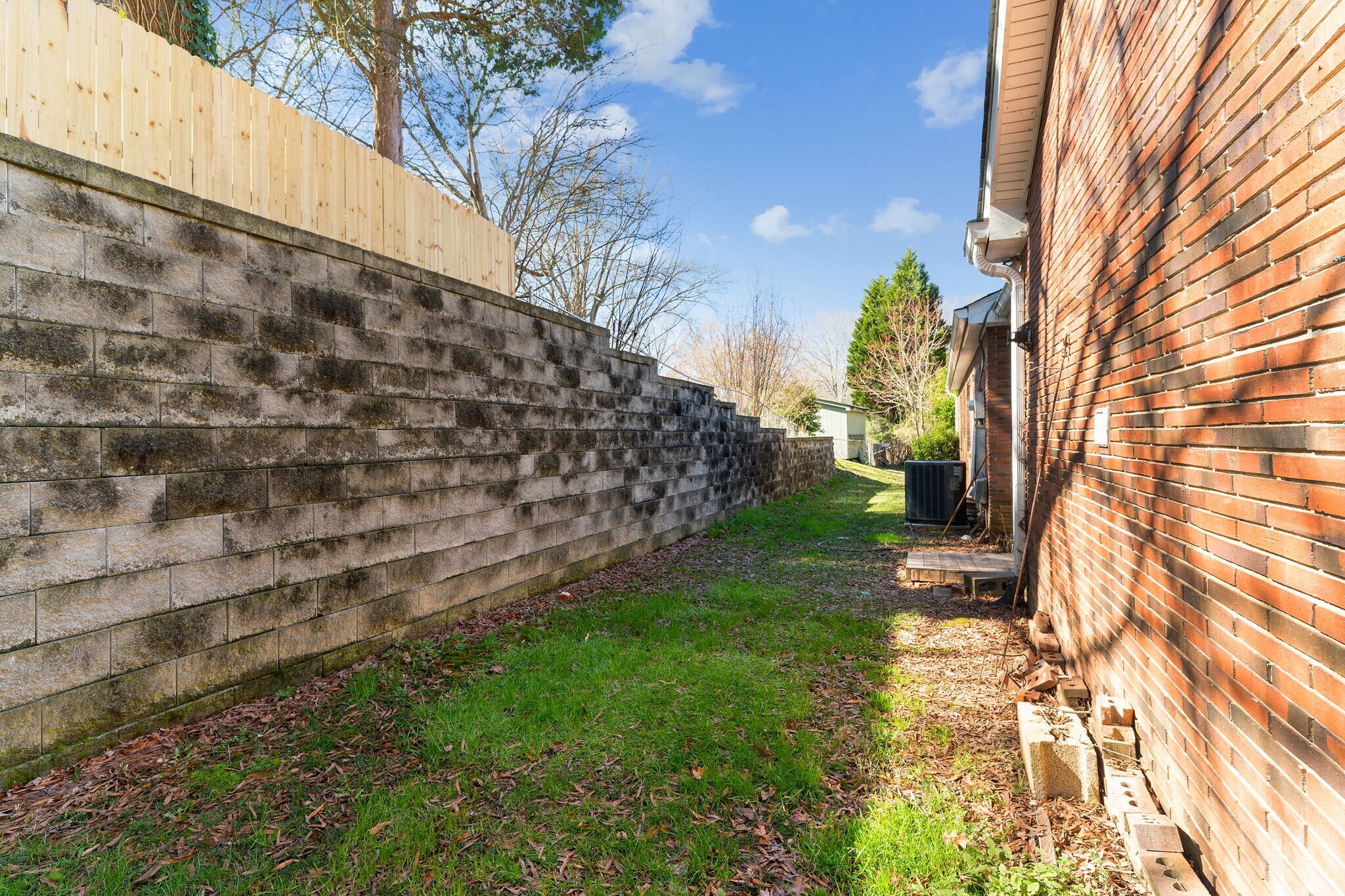 Back Yard - 415 Hudson St