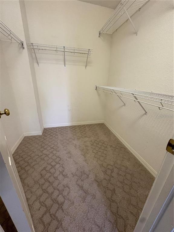 Building Photo - 2856 Bayshore Trails Dr