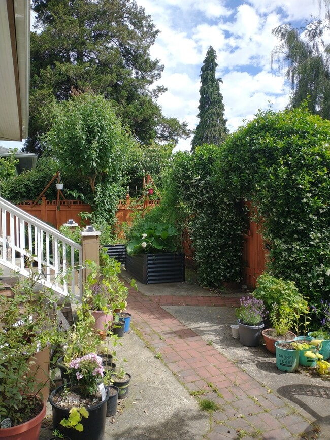 Building Photo - 5501 Brooklyn Ave NE