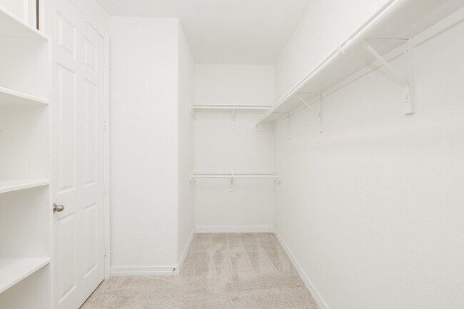 Building Photo - 2119 Stargrass Dr