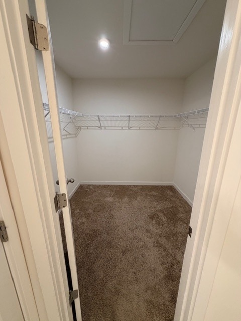 Building Photo - 447 Wyatt Dr