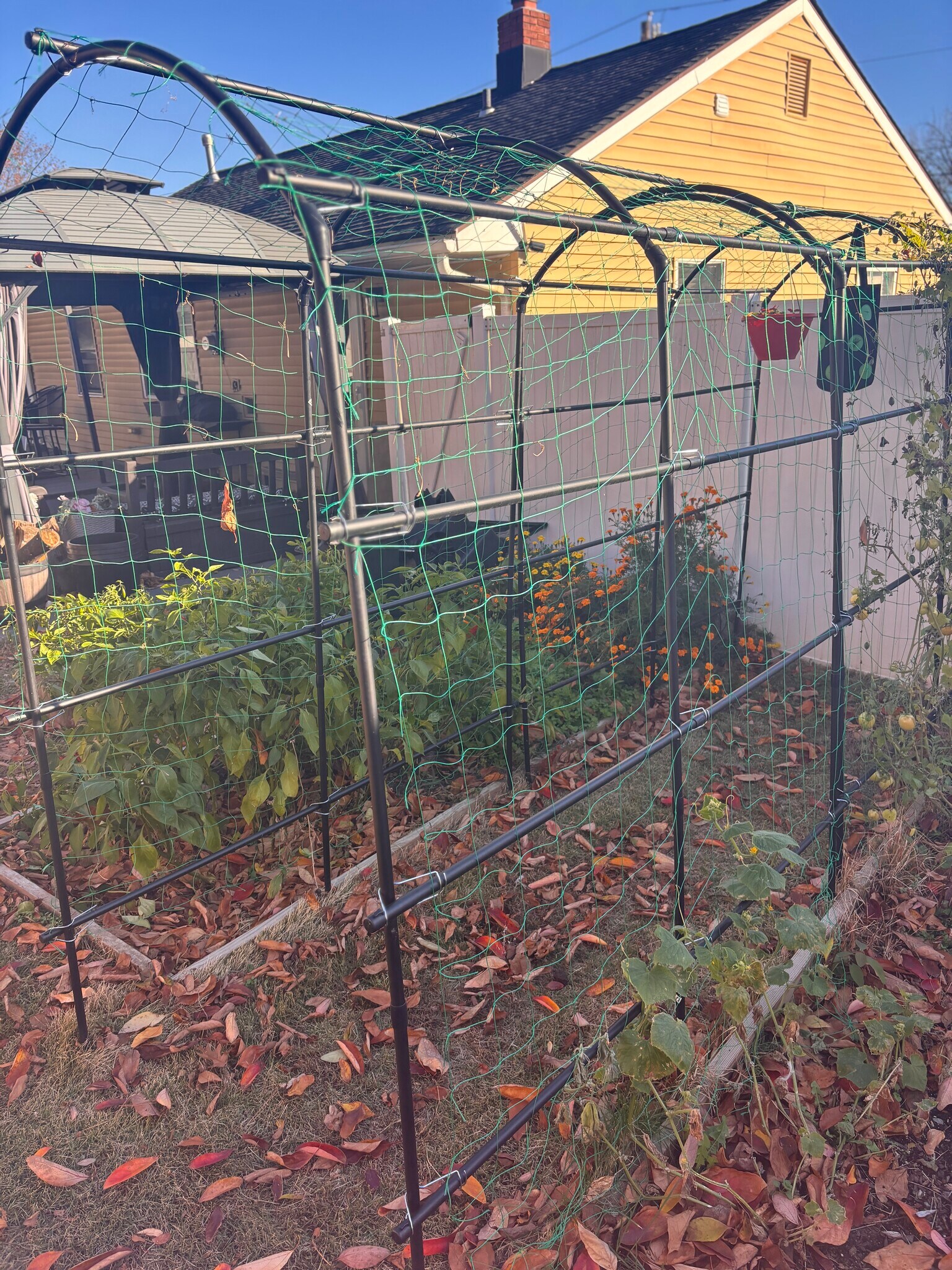 Building Photo - 466 Windsor Dr