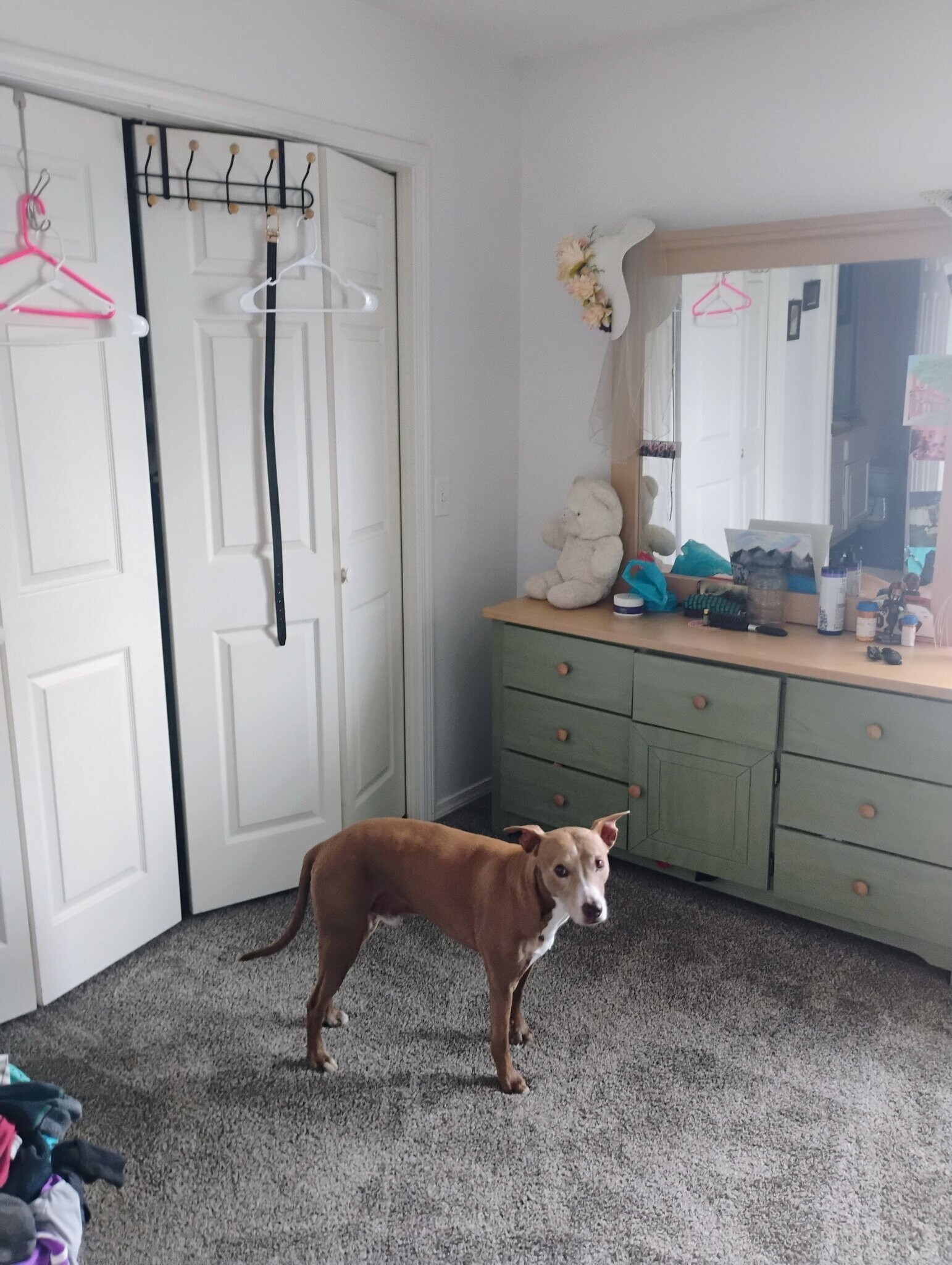 Building Photo - 2009 S 11th St