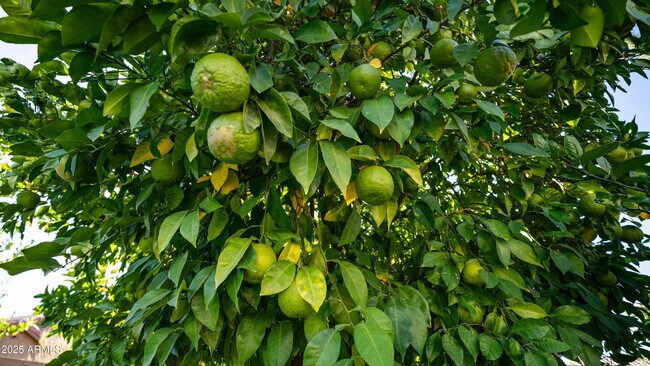 Building Photo - 561 W Yellowstone Way