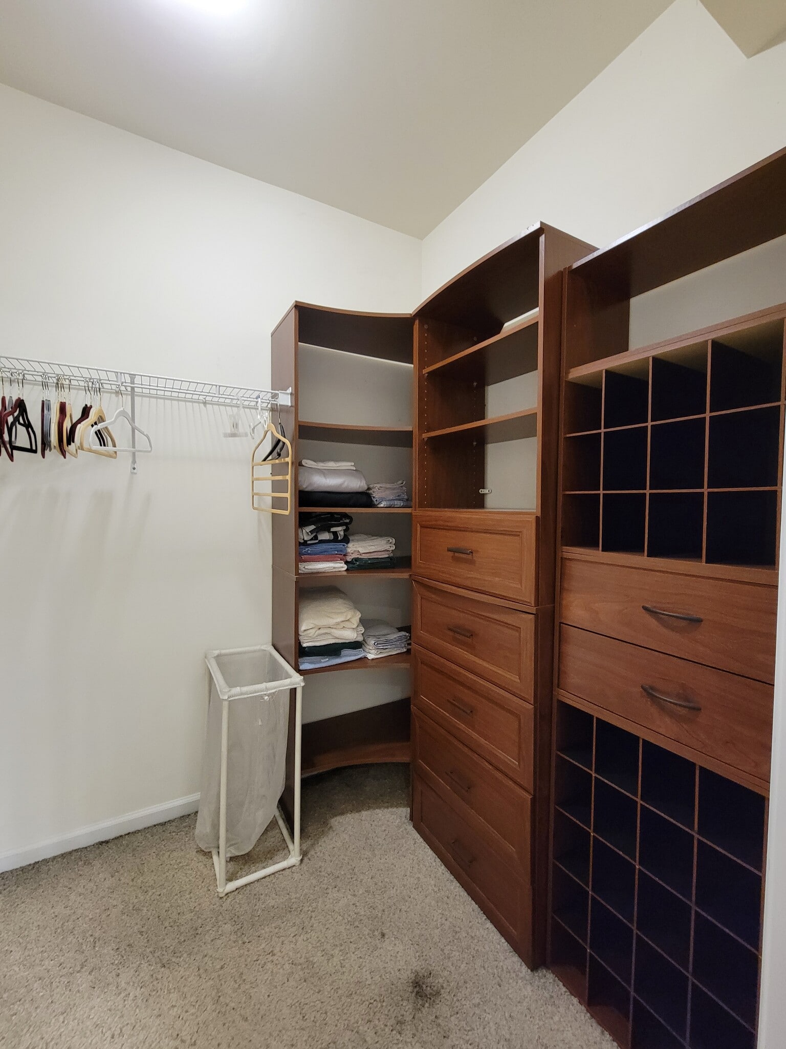 Primary walk-in closet first floor - 204 Silk Oak Dr