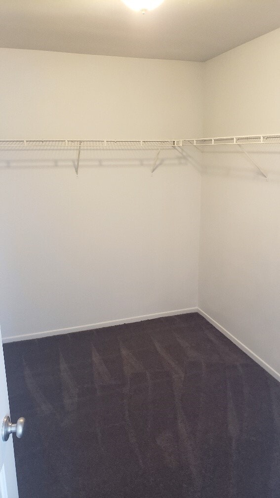 Building Photo - 1343 Estel Dr