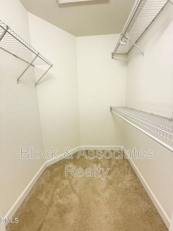 Building Photo - 5523 Cottonrose Ln