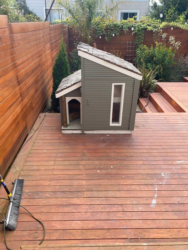 Backyard - 747 Head St