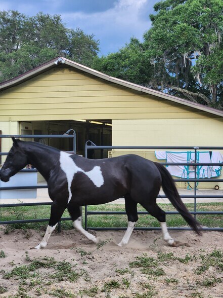60' Round Pen at rear of barn - 5212 Bertsville Rd